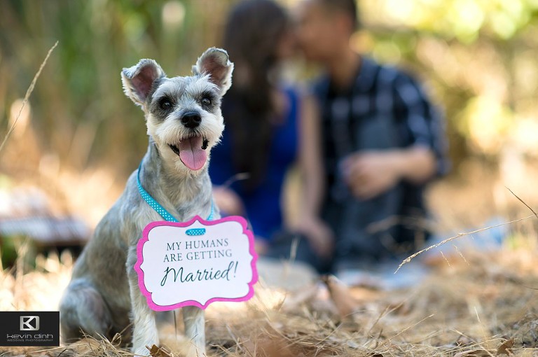 Malibu engagement session