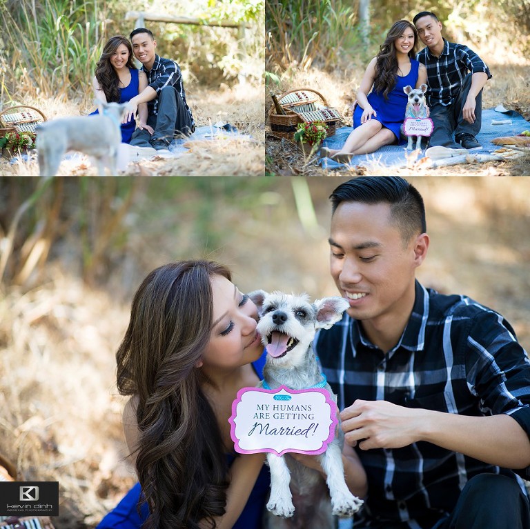 IvySean-Engagement-20